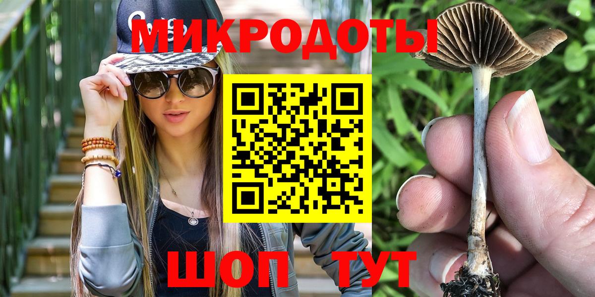 Галлюциногенные грибы Cubensis Людиново